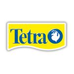 Brand tetra fish