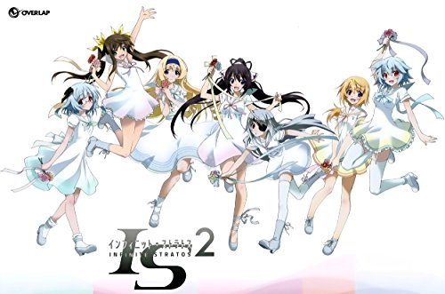 0100009868424 - 12 X 17.5 INFINITE STRATOS 2 IS2 POSTER