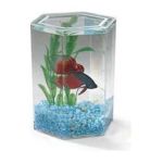 0010838195380 - BETTA KEEPER WITH LID LARGE