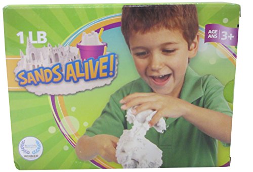 0010984025005 - PLAY VISIONS SANDS ALIVE! THE SAND BOX