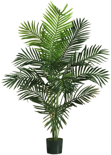 0110709818797 - NEARLY NATURAL 5259 PARADISE ARTIFICIAL PALM TREES , 5-FEET, GREEN