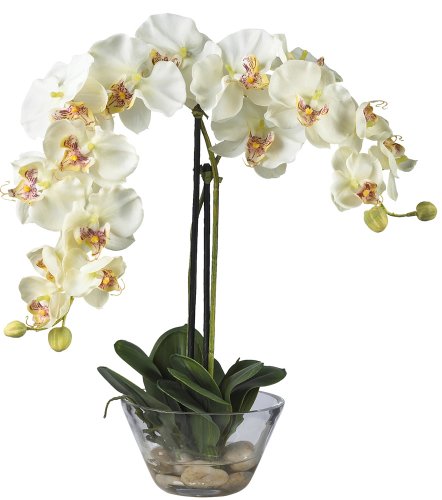 0110709821582 - NEARLY NATURAL 4643-WH PHALAENOPSIS WITH GLASS VASE DECORATIVE SILK FLOWER ARRANGEMENT, WHITE
