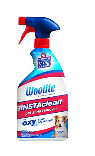 0011120229035 - WOOLITE INSTACLEAN PET STAIN REMOVER, 1684
