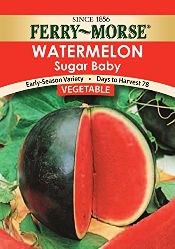 0011192416784 - FERRY MORSE SUGAR BABY WATERMELON SEED PACKET