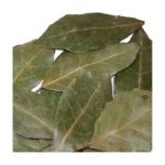 0012354051003 - BAY LEAVES WHOLE MEXICAN SPICE
