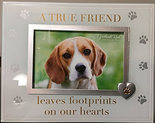 0013051590925 - A TRUE FRIEND LEAVES FOOTPRINTS ON OUR HEARTS GLASS PET DOG MEMORIAL PICTURE FRAME 4X6