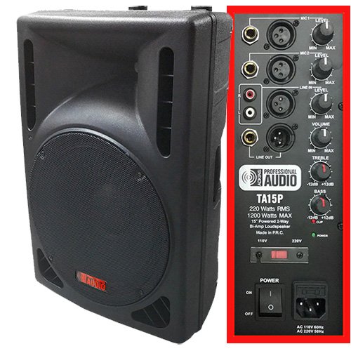 0013189291954 - 1200 WATT POWERED DJ SPEAKER - 15-INCH - BI-AMP 2-WAY ACTIVE SPEAKER SYSTEM BY ADKINS PRO AUDIO - TA15P