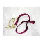 0013227001668 - 17D24 SINGLE THICK NYLON LEAD WITH CHAIN AND SNAP WINE 7 FT