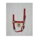 0013227006021 - DELUXE 1 NYLON HORSE HALTER WITH ADJUSTABLE CHIN AND THROAT SNAP RED AVERAGE 800 1100 LB