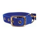 0013227034727 - DOUBLE THICK NYLON DELUXE DOG COLLAR 1 X 18 BLUE 1 IN