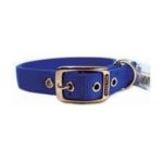 0013227034819 - DOUBLE THICK NYLON DELUXE DOG COLLAR 1 X 20 BLUE