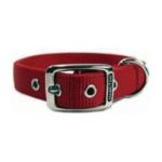 0013227034840 - DOUBLE THICK NYLON DELUXE DOG COLLAR 1 X 22 RED