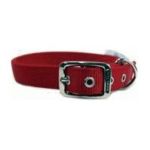 0013227034932 - DOUBLE THICK NYLON DELUXE DOG COLLAR IN RED