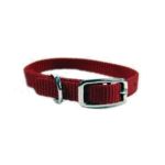 0013227060641 - DELUXE SINGLE THICK NYLON DOG COLLAR RED X