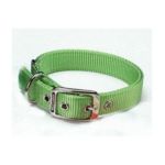0013227525973 - DOUBLE THICK NYLON DELUXE DOG COLLAR IN LIME