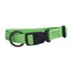 0013227526888 - 12IN X SMALL ADJUSTABLE DOG COLLAR LIME 12 IN