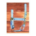 0013227531073 - DELUXE 1 NYLON HORSE HALTER WITH ADJUSTABLE CHIN AND SNAP BERRY SMALL COB 500 800 LB