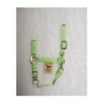 0013227531080 - DELUXE 1 NYLON HORSE HALTER WITH ADJUSTABLE CHIN AND THROAT SNAP LIME AVERAGE 800 1100 LB