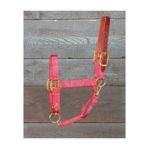 0013227538805 - ADJUSTABLE WITH LEATHER HEAD POLE RED AVERAGE