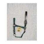 0013227538836 - 11-16 ADJUSTABLE WITH LEATHER HEAD POLE HUNTER GREEN LARGE