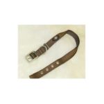 0013227545957 - DOUBLE THICK NYLON DELUXE DOG COLLAR IN BROWN 1 IN