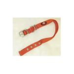 0013227545971 - DOUBLE THICK NYLON DELUXE DOG COLLAR IN REDBRICK