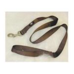 0013227546459 - NYLON LEAD WITH SWIVEL SNAP 1 X BROWN 6 FT