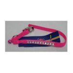 0013227561568 - SAFETY CAT COLLAR WITH BELL SIZE 0.38 X 10 COLOR HOT PINK 3/8