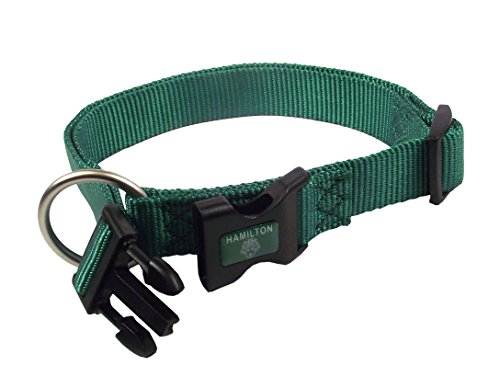 0013227570959 - HAMILTON ADJUSTABLE DOG COLLAR WITH BRUSHED HARDWARE, 3/4 BY 10 TO 16-INCH, GREEN