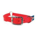 0013227964031 - SAFE-RITE DOG COLLAR WITH TAPE IN ORANGE SIZE 1 X 20