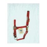 0013227980000 - QUALITY 1 NYLON HORSE HALTER WITH ADJUSTABLE CHIN AND SNAP RED LARGE 1100 1600 LB