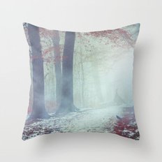 0013267381287 - RGFHMARF SNOW GLOWPILLOW CASES DECORATIVE 20X20IN PILLOW CASE