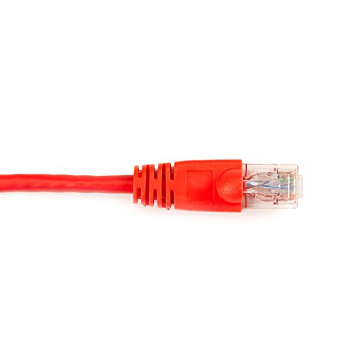 0013269048089 - BLACK BOX BLACK BOX CONNECT CAT6 250 MHZ ETHERNET PATCH CABLE - UTP, PVC, SNAGLESS, RED, 5 FT., 10-PACK