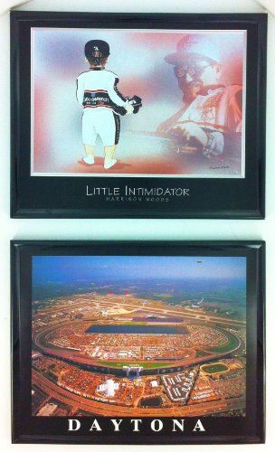 0013364576432 - FRAMED NASCAR DALE EARNHARDT SR. AND DAYTONA SPEEDWAY PRINT ARTWORK FRAMED WALL ART