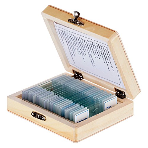 0013964502442 - AMSCOPE PS25 PREPARED MICROSCOPE SLIDE SET FOR BASIC BIOLOGICAL SCIENCE EDUCATION, 25 SLIDES, INCLUDES FITTED WOODEN CASE
