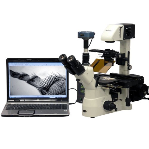 0013964568943 - AMSCOPE IN480TC-FL-BWF DIGITAL LONG WORKING-DISTANCE INVERTED FLUORESCENCE TRINOCULAR MICROSCOPE, 40X-1500X, WH10X PLAN AND WH25X SUPER-WIDEFIELD EYEPIECES, BRIGHTFIELD AND PHASE-CONTRAST OBJECTIVES, 30W HALOGEN ILLUMINATION, 0.3 NA KOHLER CONDENSER, MEC