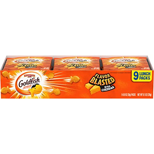 0014100096542 - GOLDFISH CRACKERS FLAVOR BLASTED XTRA CHEDDAR 9 SNACK PACKS