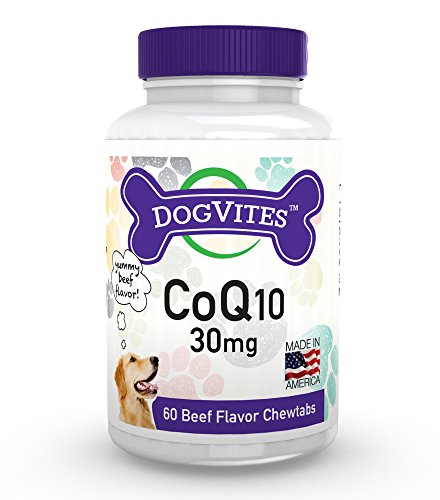 0014654858054 - DOGVITES COQ10 FOR DOGS 30MG CHEWABLE (60 BEEF FLAVOR CHEWTABS)