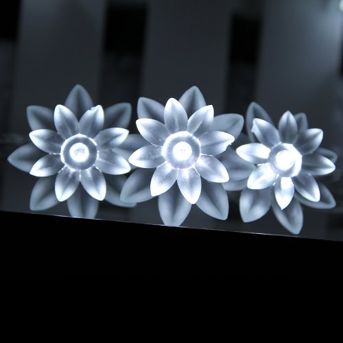 0015542000005 - INNOOTECH 40 LED STRING LIGHTS BATTERY WHITE LOTUS FOR INDOOR OUTDOOR DECORATION