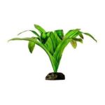 0015561229753 - SMART PLANT DART FROG BROMELIA TERRARIUM PLANT