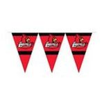 0015889940323 - LOUISVILLE CARDINALS PARTY PENNANT FLAG