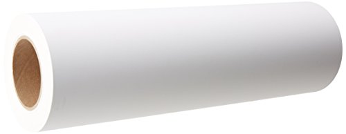 0163120456819 - EPSON PROFESSIONAL MEDIA ENHANCED PAPER MATTE (17 INCHES X 100 FEET, ROLL) (S041725)