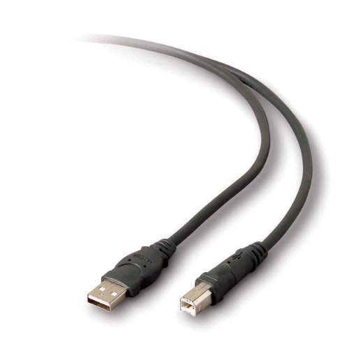 0163121279899 - BELKIN F3U133-06 PRO SERIES HI-SPEED USB CABLE (SIX-FEET)