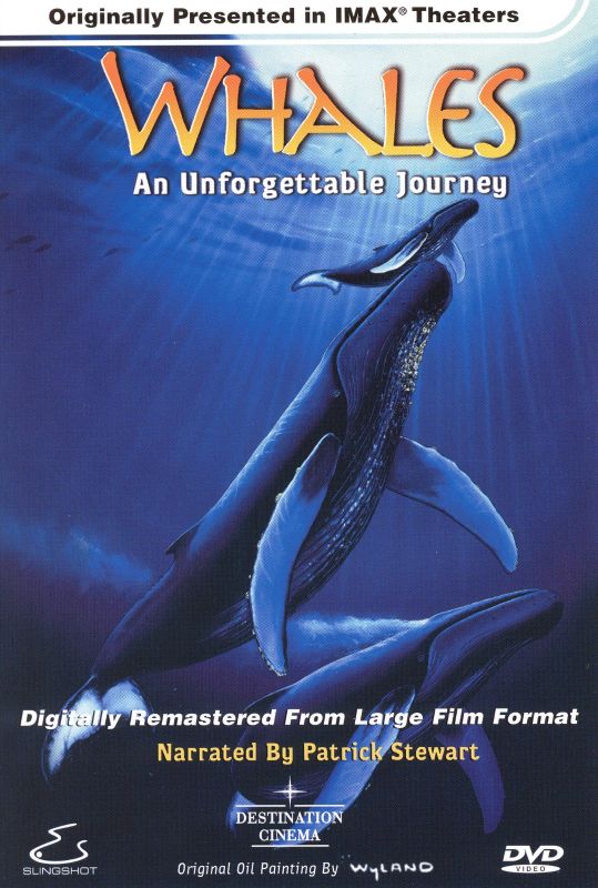 0017078980523 - WHALES: AN UNFORGETTABLE JOURNEY