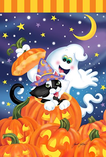 0017917024791 - TOLAND HOME GARDEN WITCH KITTY 28 X 40-INCH DECORATIVE USA-PRODUCED HOUSE FLAG