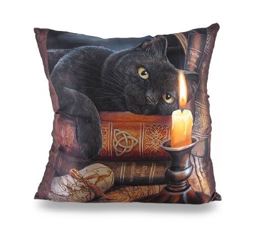 0179201792066 - THE WITCHING HOUR DECORATIVE THROW PILLOW BY LISA PARKER 16IN.
