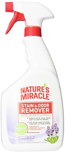 0018065053855 - NATURE'S MIRACLE STAIN & ODOR REMOVER, LAVENDER SCENT, 32-OUNCE SPRAY