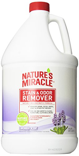 0018065053862 - NATURE'S MIRACLE STAIN AND ODOR REMOVER LAVENDER SCENT, 1-GALLON