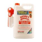 0018065055132 - STAIN AND ODOR REMOVER