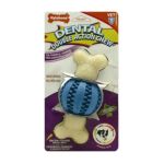 0018214817062 - DOUBLE ACTION DENTAL CHEW BALL 1 CHEWABLE